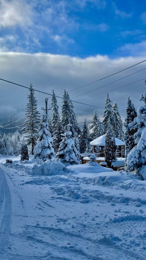 Fondo mara móviles. Paisaje de invierno en los Cárpatos de Rumania